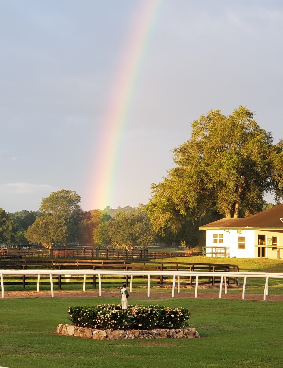 Rainbow over Niall Brennan Stables