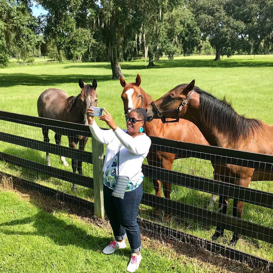 Guest taking a photo with horses during a horse farm tour