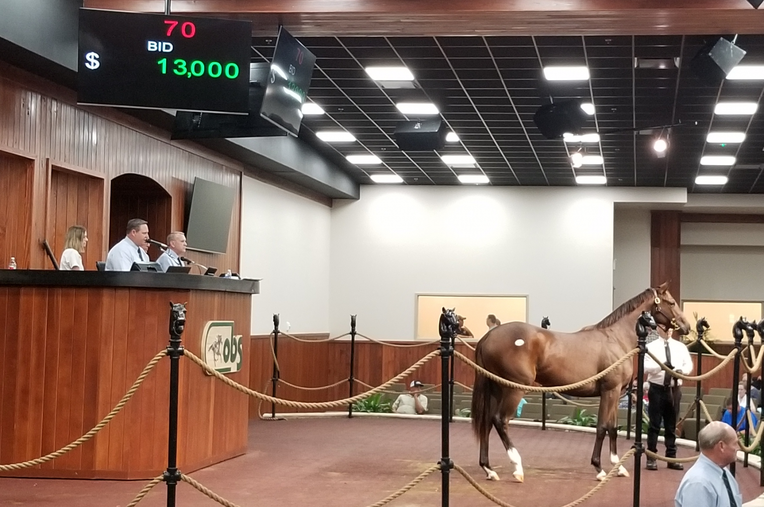 Ocala Breeder Sales (OBS) The Horse Capital Tours