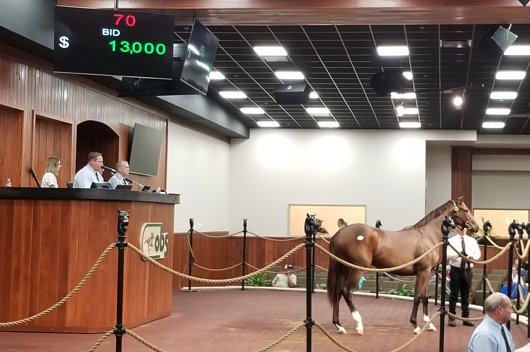 OBS Auction