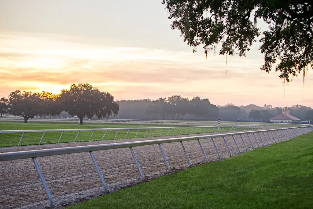 The Horse Capital Tours
